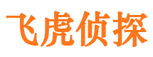 桃山调查取证